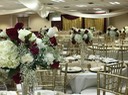 Burgundy Quince 11